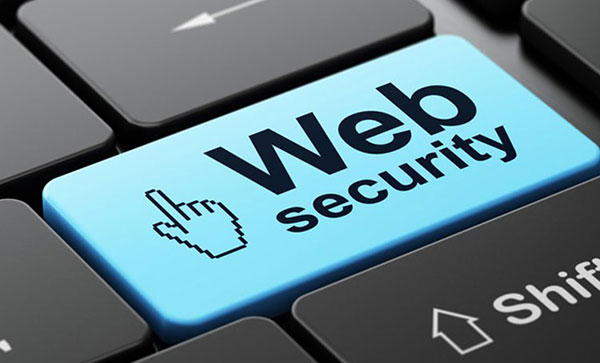 What is website security and why do you need it