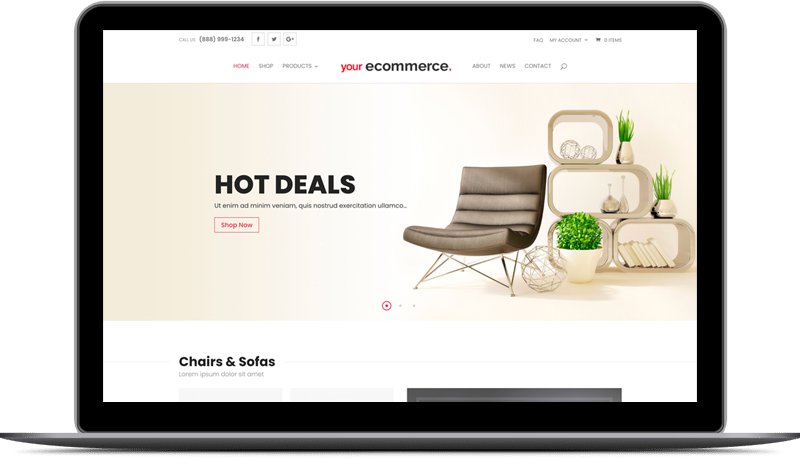 Ecommerce website