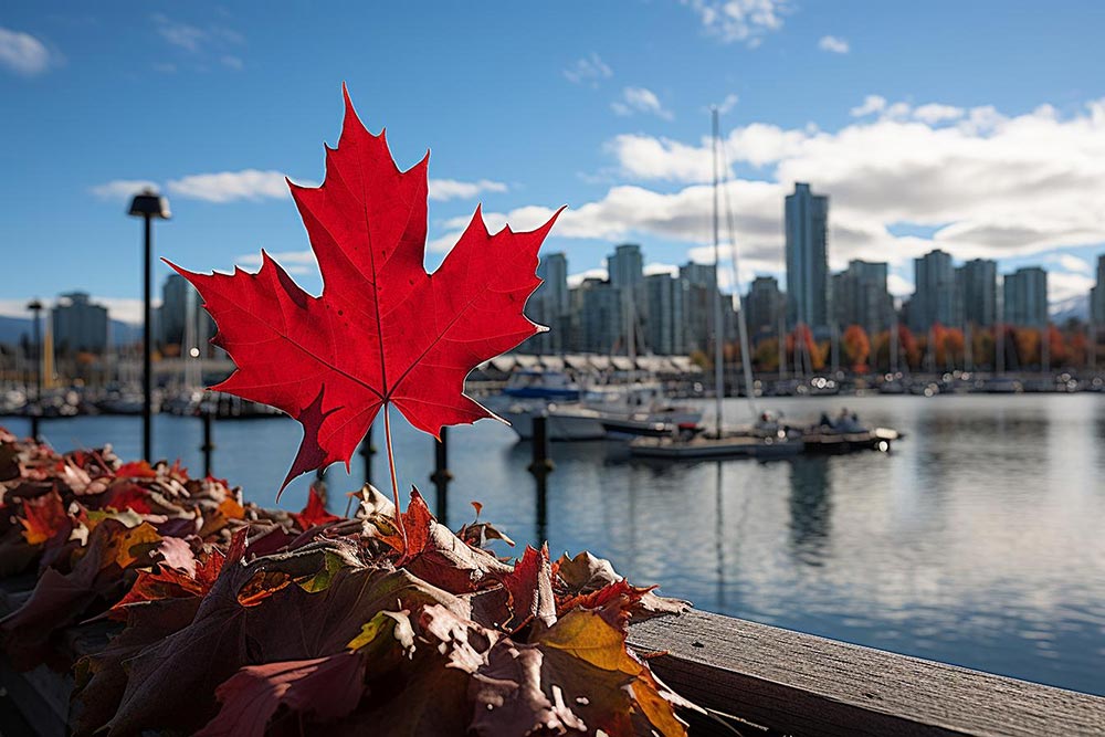 Obtenez un site web professionnel pour votre petite entreprise canadienne auprès d’une entreprise canadienne !