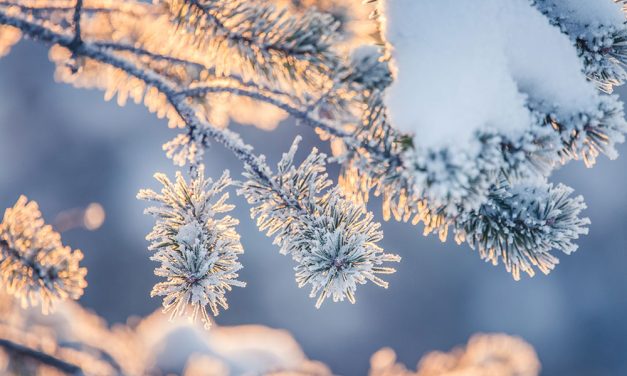 Winter Is Not a Slow Season — It’s a Strategy Season for Smart Businesses